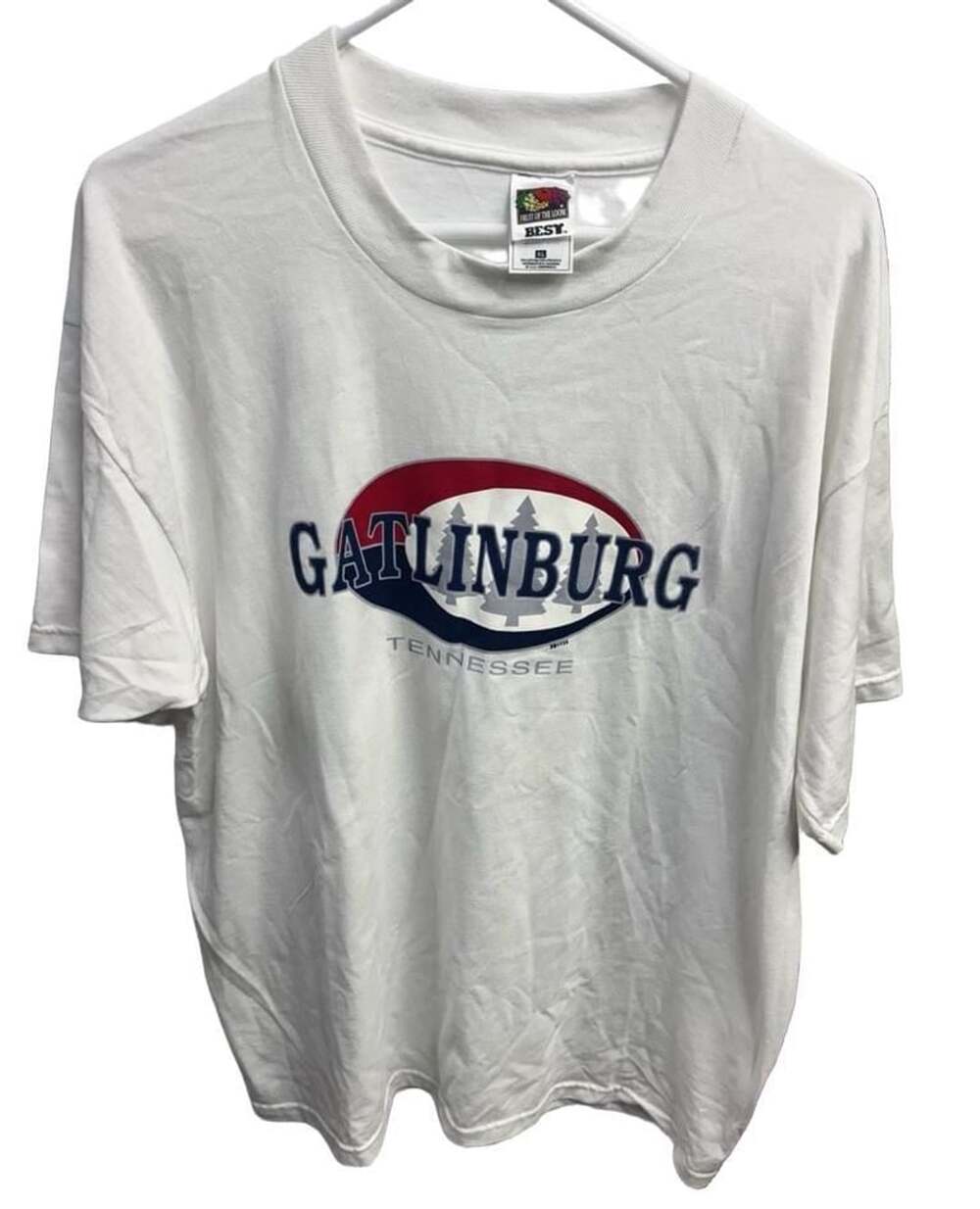 Vintage Y2K USA made Fruit of the Loom Gatlinburg Tennessee T-Shirt XL White
